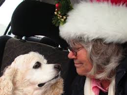 Fundraiser for Janis R Hess by Jeremiah Hess : Janis's Recovery Assistance