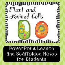 Now show that, in aging cd4+ t cells, ku complex senses cytoplasmic dna, promoting t cell activation and proliferation. Plant And Animal Cells Powerpoint Lesson With Note Taking Study Guide Google Powerpoint Lesson Cells Lesson Plant And Animal Cells