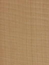 Image result for Pouteria altissima