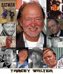 American adult film actor biography