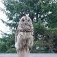 Owl Prowl