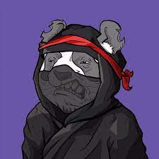 Panda Dynasty On Twitter In 2021 Panda Twitter Discord