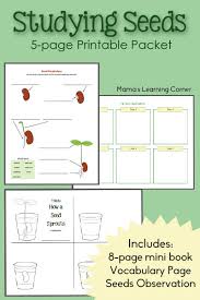 Studying Seeds Printable Mini Book Seed Chart And