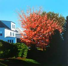 Nina Davidowitz Paintings I Love Art Painting