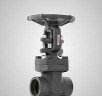 Small Bore Valves| Gate, Globe & Check Valves - Bolted ...