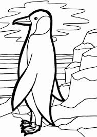 Coloring is an awesome activity for your little one. Free Easy To Print Penguin Coloring Pages Tulamama