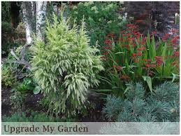 We can install systems into existing grassed and planted yards with minimal disturbance. Pin On Landscape Ideas