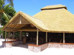 While in nicaragua november 2010 we watched a young man thatch a roof with palm fronds for a palapa. Roofing Hmj Zoo Theme Park Design