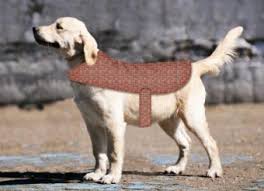 We did not find results for: Pet Apparel Sewing Patterns Lovetoknow