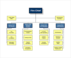 49 Clean Department Organizational Chart Template