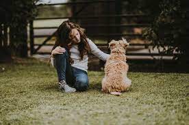 My son dearly wants to keep this dog, but he's cleaning up after her all the time in the house. How To Keep Neighbor S Dog Out Of My Yard 9 Methods Tested Reolink Blog
