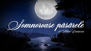 \rcolaj / playlist cantece pentru copii tralala \r\rversuri omuleţul de zăpadă\r\rdin trei bulgări de omăt,\rdoi cărbuni. Soarele Èi OmuleÈii De ZÄpadÄ Sweetlullaby GrÄdiniÈapiticilor Youtube