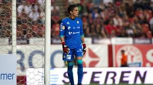 Met nieuws, foto's, carrière en statistieken. Liga Mx Clausura 2021 Carlos Acevedo Seria Un Fracaso No Calificar En La Copa Marca Claro Mexico