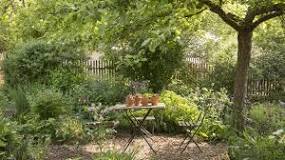 Einen Garten anlegen – Tipps & Ratgeber | OBI