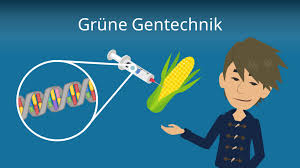 Gentechnik may be the german term for germany's federal building program. Gentechnik Genmanipulation Grune Gentechnik Mit Video