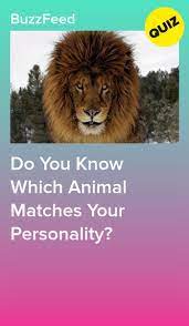 Do You Know Which Animal Matches Your Personality Animal Quiz Fun Personality Quizzes Personality Quizzes Buzzfeed