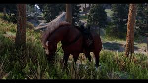 White fatalis is strikingly different in appearance from its relatives. Epona Horse Port Sse At Skyrim Special Edition Nexus Mods And Community