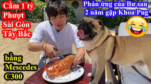 Khoa pug là một streamer, youtuber nổi tiếng tại việt nam với những video về chó pug, du lịch, ẩm thực đường phố, review nhà hàng khách sạn có một số đồn đoán cho rằng khoa pug là con trai của ông nguyễn đình trung, chủ tịch hđqt kiêm tgđ hưng thịnh corp. Tai Xuáº¥t Sau 2 Thang Biáº¿n Máº¥t Tren Youtube Khoa Pug ChÆ¡i Lá»›n Cáº§m Háº³n 1 Tá»· Ä'i Xuyen Viá»‡t
