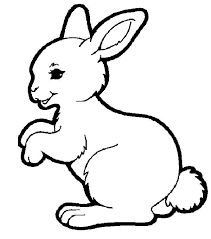 Your child will love coloring his favorite zoo animals. Adorable Hopping Bunny Coloring Pages Kids Play Color Bunny Coloring Pages Rabbit Colors Animal Coloring Pages