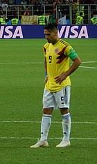 Todas las noticias, fotos, vídeos y goles del jugador de fútbol internacional colombiano radamel falcao, delantero centro del mónaco. Radamel Falcao Wikipedia