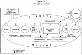 Six Major Ecosystems Of The World With Diagram