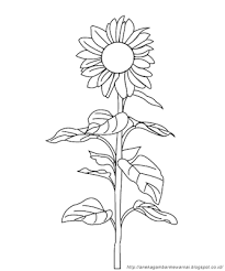Ilmu pengetahuan 1 mewarnai bunga matahari di pot. Gambar Mewarnai Bunga Matahari Untuk Anak Paud Dan Tk