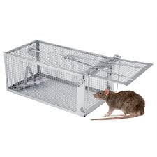 Bait them with broccoli, apple slices. Herchr Heavy Duty Squirrel Trap Humane Small Live Animal Raccoon Rodents Stray Cat Opossum And Groundhog Cage Trap Release Mice Chipmunks Hamsters And Other Rodents Adjustable Solid Door Walmart Com Walmart Com