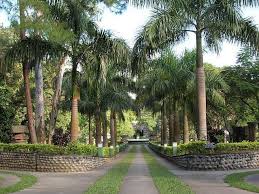 Image result for assam images