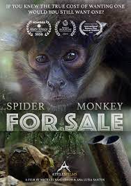 Spider Monkey For Sale Short 2020 Imdb