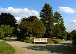 Baden, also known as baden bei wien (i.e., baden near vienna) is a city in lower austria near vienna with around 25,000 inhabitants. Baden Austria Travel Guide At Wikivoyage