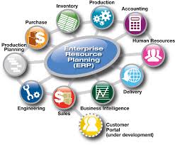 Online Essay Help Amazonia Fiocruz Br