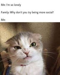 Pin On Infj Personality