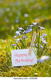 Come inviare la sorpresa perfetta. Buon Compleanno Con Fiori Di Primavera Foto Stock Alamy