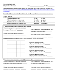 Choose from 500 different sets of flashcards about dihybrid cross worksheet on quizlet. Fillable Online Dihybrid Cross Worksheet Name Fax Email Print Pdffiller