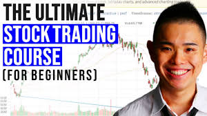 The Definitive Stock Trading Guide (For Beginners) - Youtube