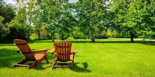 The best for mosquito control. Best Mosquito Yard Sprays Repellents For All Year Round Use