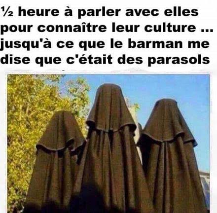 Culture | abenchaalors.fr