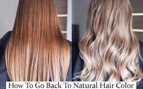 Hair colors causing allergic reactions are not uncommon especially because permanent hair dyes. How To Go Back To Natural Hair Color Without Damage How To Get Your Natural Hair Color Back At Home Hair Guider