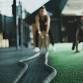 GYM-GOERS GUIDE — Leah Rose Nutrition event image