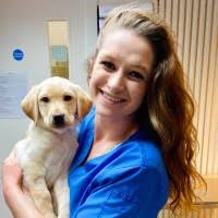 20+ "Dr. Nellie" profiles