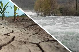 Despite 2% above normal rain so far, 36% districts remain rain deficient across India | Carbon Copy