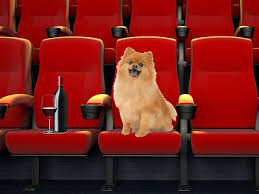 Man's best friend | anwar jibawi & jeff wittek. This Movie Theater Lets You Bring Your Dog And Offers Bottomless Wine Secretsfrommyapron