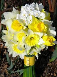Pin By Suttikan Uttamote On Narcyz Piekno Samo W Sobie Spring Wedding Bouquets Flower Bouquet Wedding Daffodil Wedding Flowers