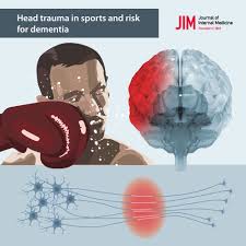 Chronic traumatic encephalopathy has been widely studied. Head Trauma In Sports And Risk For Dementia Winblad 2019 Journal Of Internal Medicine Wiley Online Library