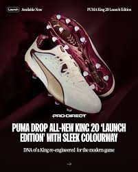Image result for Puma 20