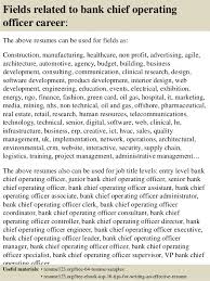 coo sample resume resume writers