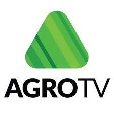 Fermierii au cerut subventii pentru aproape 10 milioane de hectare. Cati Bani Incaseaza Cultivatorii De Porumb De La Apia In 2020 Agrotv