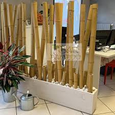 Le canne di bambù di bambuseto. Separe Di Bambu Banbamboo