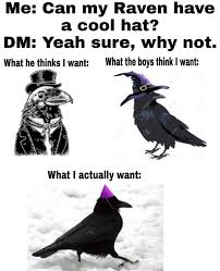 Oc My Raven Queen Warlock Has Expensive Taste Dndmemes Dnd Funny Dungeons And Dragons Memes Raven Queen