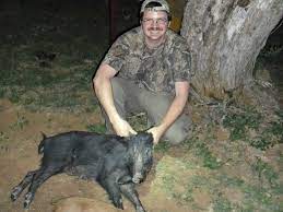 The 560 acres are 25 miles from llano, tx surrounded by the iconic texas hill country. No License Required To Hunt Texas Hogs Starting Sept 1st Gunsamerica Digest
